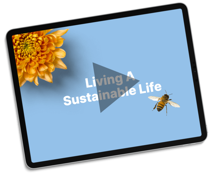 ipad-living-course-01-tn